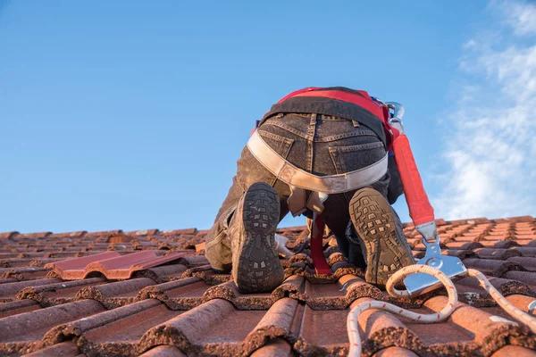 Why Asphalt Shingles Are Popular in St. John Roof Replacements