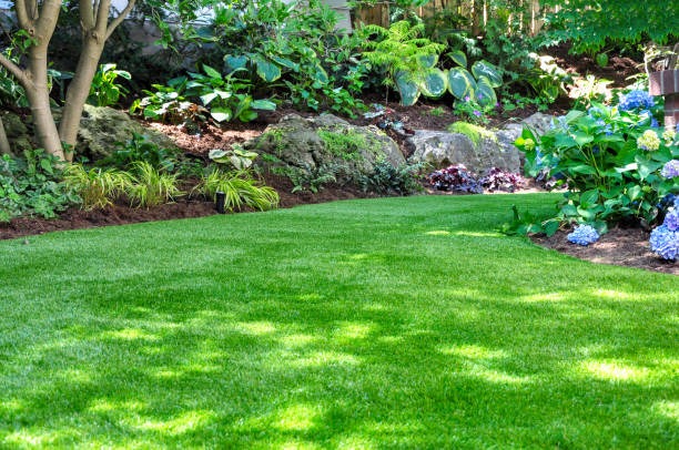 Chandler’s Trusted Choice for Artificial Grass Apex Turf